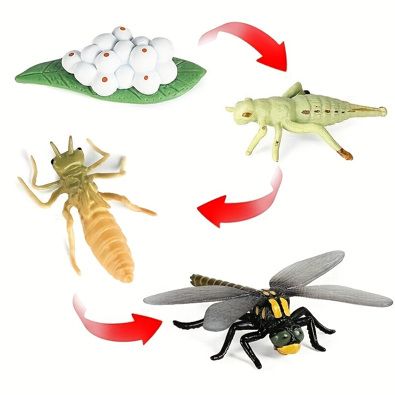 Insect Dragonfly Growth Cycle Model Toy Set