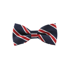 Kid's Multicolor Bow Tie Wedding Accessories