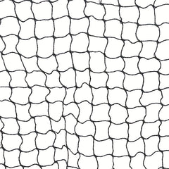 Portable Badminton Net with Randomly Colored Edges