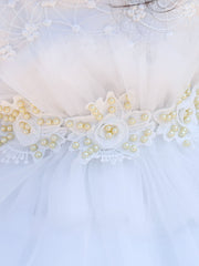 Baby Girl Mesh Embroidered Princess Dress