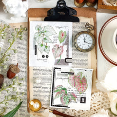 6 Sheets Retro Plant PET Stickers for Scrapbooking Decorative Collage