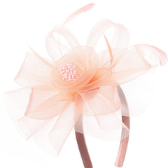 Mesh Feather Tea Party Hat Birdcage Veil Fascinator with Clip