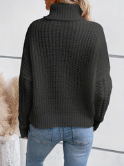 Solid Turtle Neck Pullover Sweater Long Sleeve Casual Winter Women's Clothing