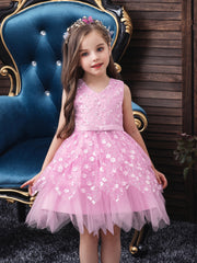 Girls Princess Dress Sleeveless Flower Embroidery Mesh Tutu Dress