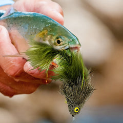 Bionic Streamer Fly Sea Fishing Bait Trout Salmon Bass