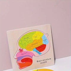 Wooden Brain Anatomy Learning Puzzle for Ages 3 Educational Cognitive Toy