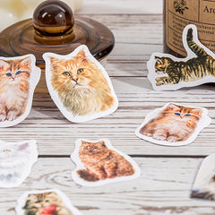 46 Cat Pattern Stickers Water Bottles Laptop Scrapbook Luggage