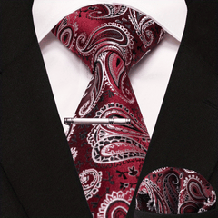 Paisley Tie And Pocket Square Set For Men