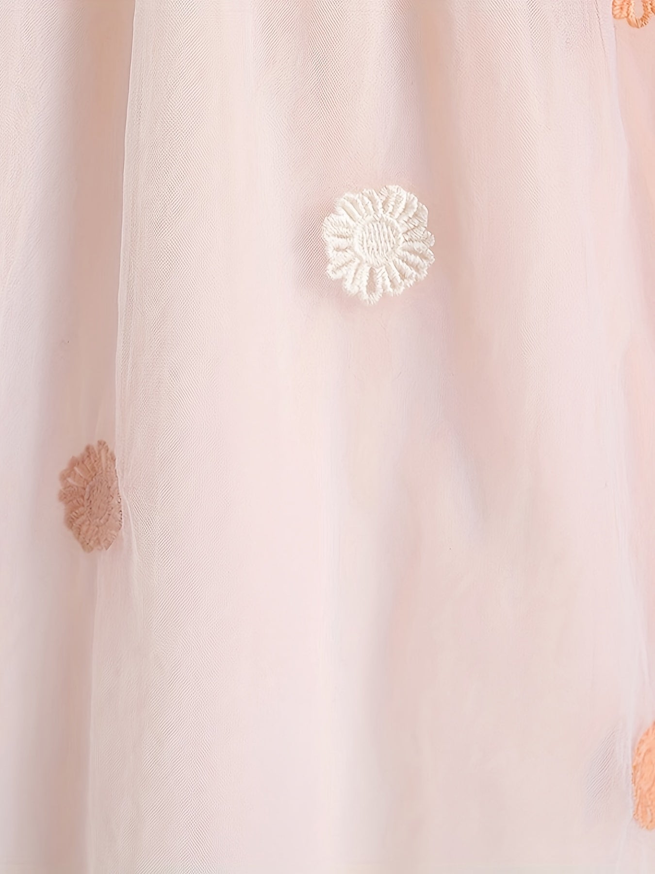 Blossoms Embroidery Mesh Collared Princess Dress For Girls