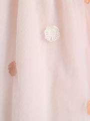 Blossoms Embroidery Mesh Collared Princess Dress For Girls