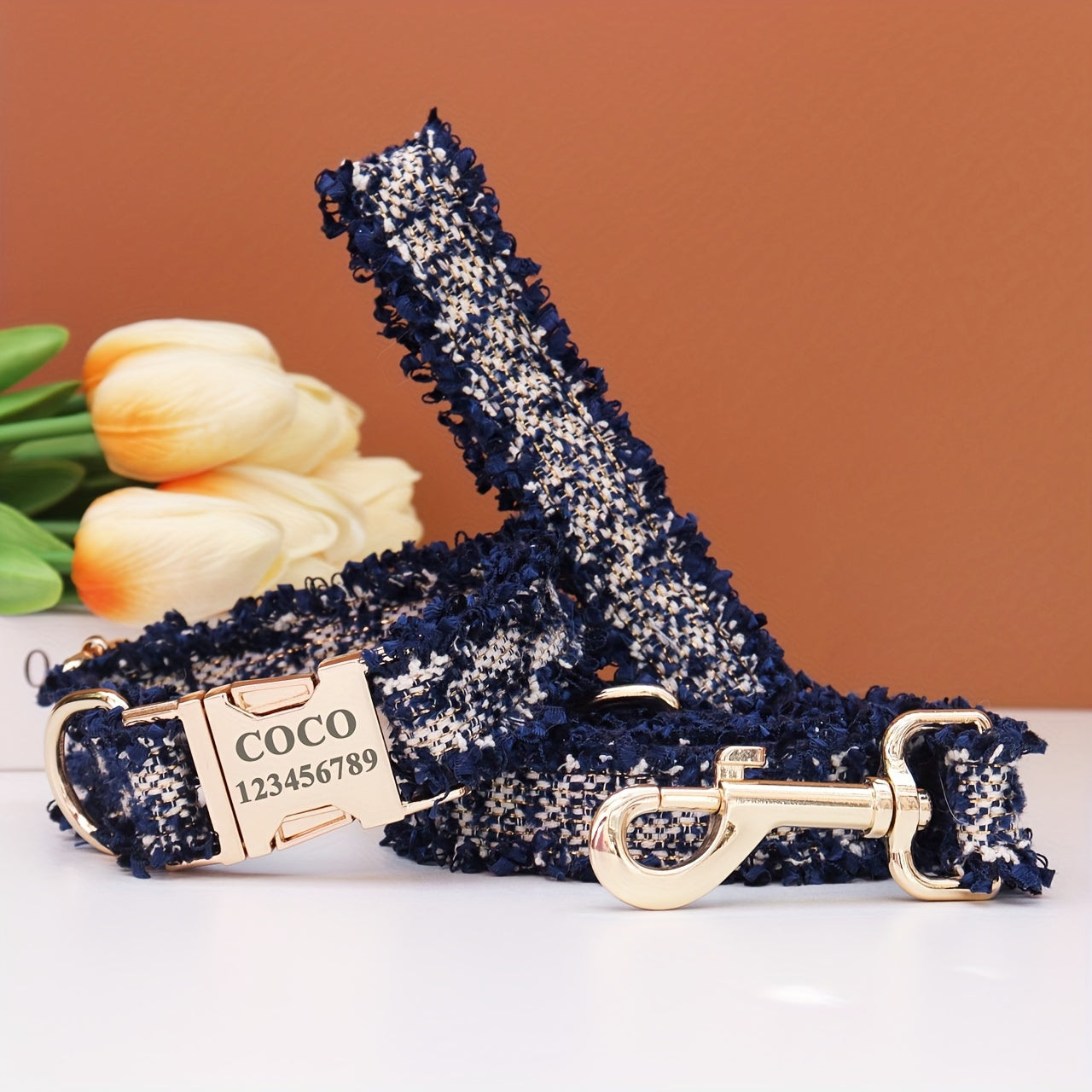 img_5496720