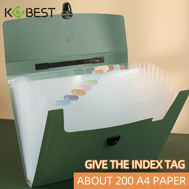 Expanding File Organizer with 13 Transparent Pockets Secure Buckle Labeling Tabs