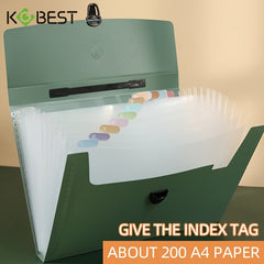 Expanding File Organizer with 13 Transparent Pockets Secure Buckle Labeling Tabs