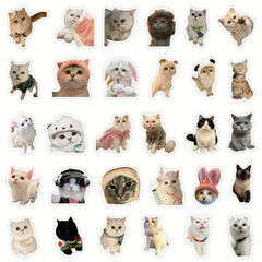 60pcs Animal Stickers Vinyl Decals for Laptop Skateboard Bumper Girl