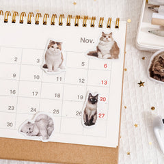 45pcs Cat Selfie Decorative Stickers for Diary Journal Planner Scrapbooking