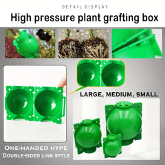 10pcs Reusable Plant Rooting Balls for Grafting
