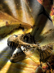3D Skeleton Dinosaur Graphic Tee Kids Summer Gift