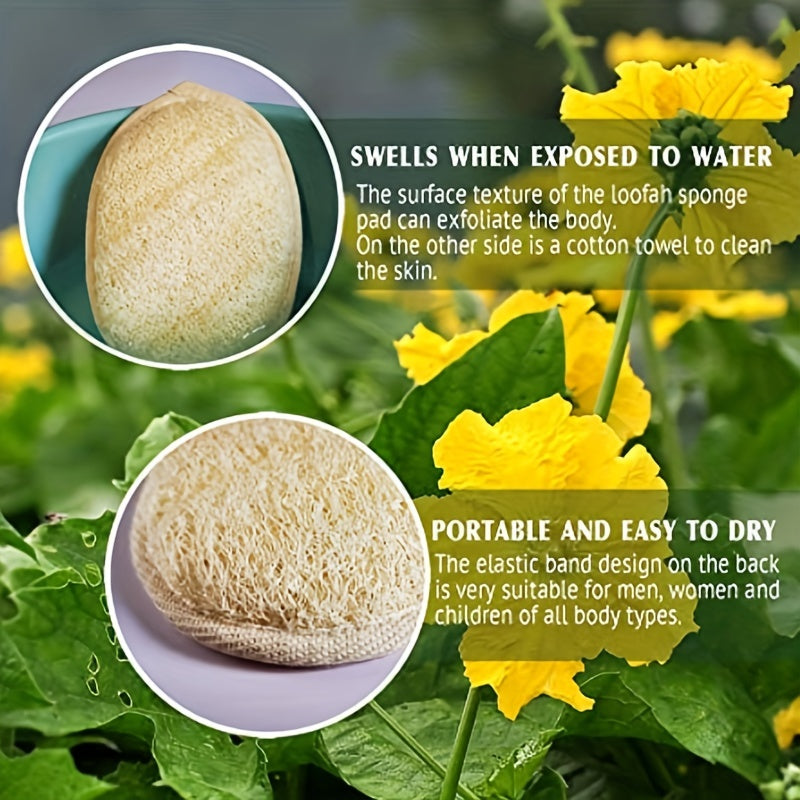 Natural Exfoliating Loofah for Men and Women