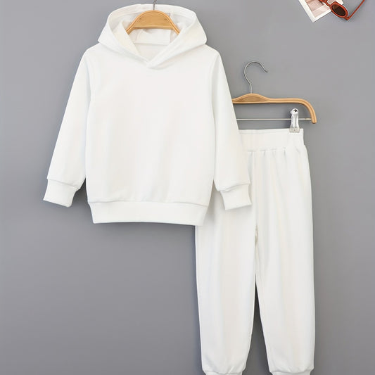 Boys Toddler Hooded Sweatshirt & Sweatpants Set