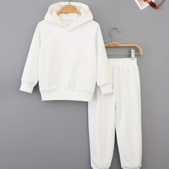 Boys Toddler Hooded Sweatshirt & Sweatpants Set