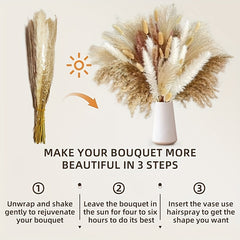 60pcs Natural Dried Pampas Grass Bouquet for Boho Home Decor & Wedding