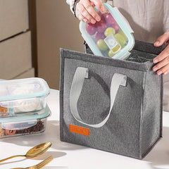 Insulated Lunch Bag Portable Thermal Tote Aluminum Lining Bento Box Carrier