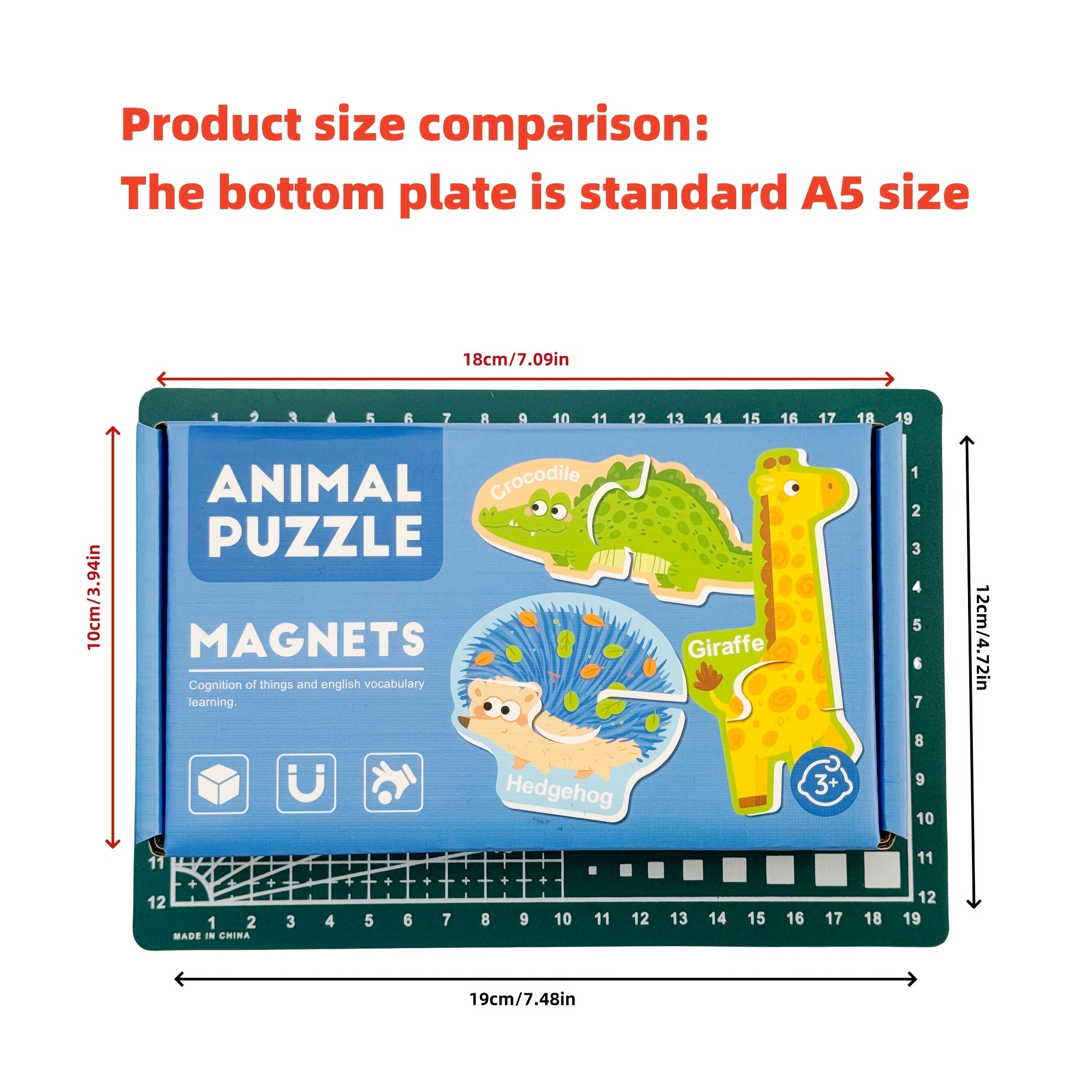 Educational Magnetic Fridge Magnets Set for Kids