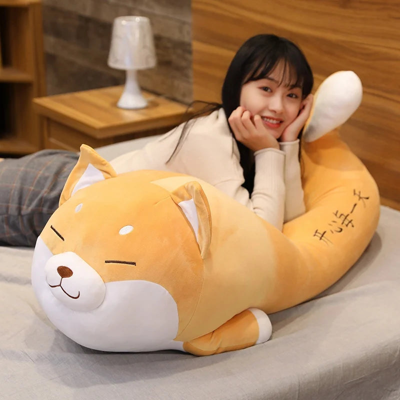 img_2917454