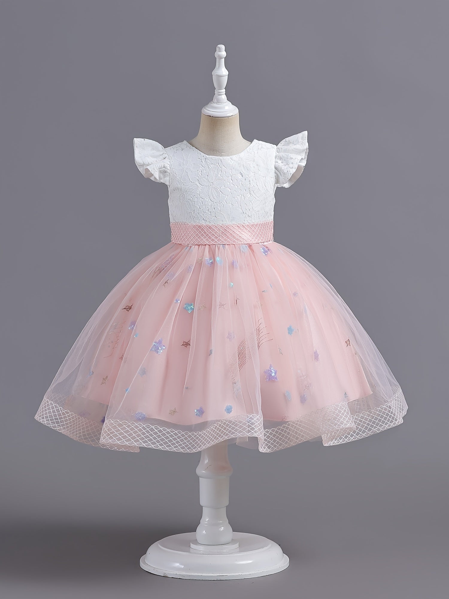 Girls Embroidered Mesh Princess Dress Fly Sleeve Tutu Skirt