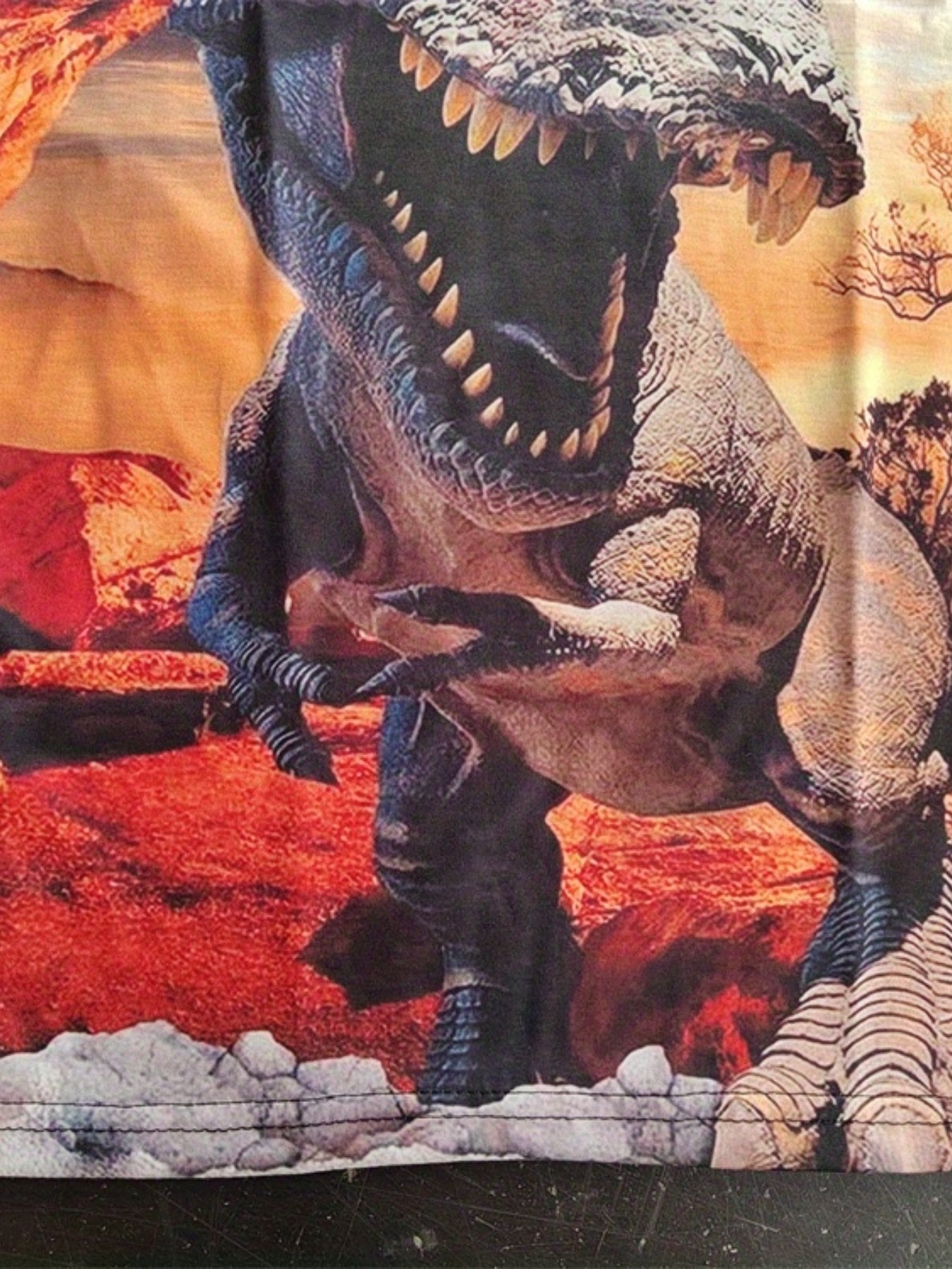 Boys Dinosaur T Shirt 3D Print Stretchy Fabric