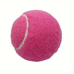 4pcs Training Tennis Ball Practice Ball With Bag for Beginners