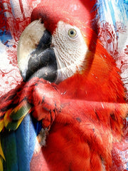 Parrot 3d Print Men's Long Sleeve Novelty T shirt For Autumn