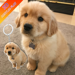 img_5163317