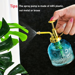 Glass Plant Mister Stylish Spray Bottle for Plants & Cleaning