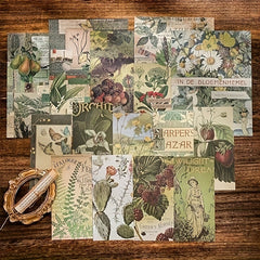 Scrapbooking Supplies Kit Retro Plant Fantasy Style DIY 15.24x10.16 cm
