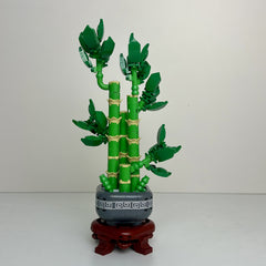 Artistic Bonsai Money Tree Blocks Home Decor