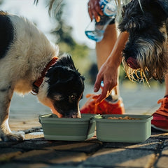Collapsible Dog Bowl Portable Silicone Pet Food & Water Bowl