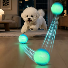img_6358019