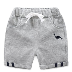 Boys Dinosaur Shorts Drawstring Waist Pocket Casual Summer Kids Clothes