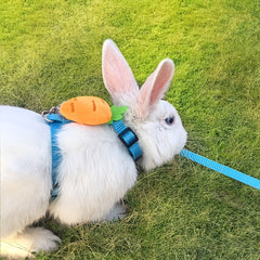 Cartoon Fruit Rabbit Chest Strap Pet Traction Rope