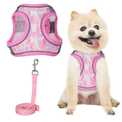 img_5537585
