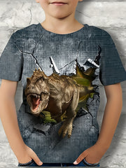 Boys' Dino Graphic Novel T Shirt, 3D Print Tee