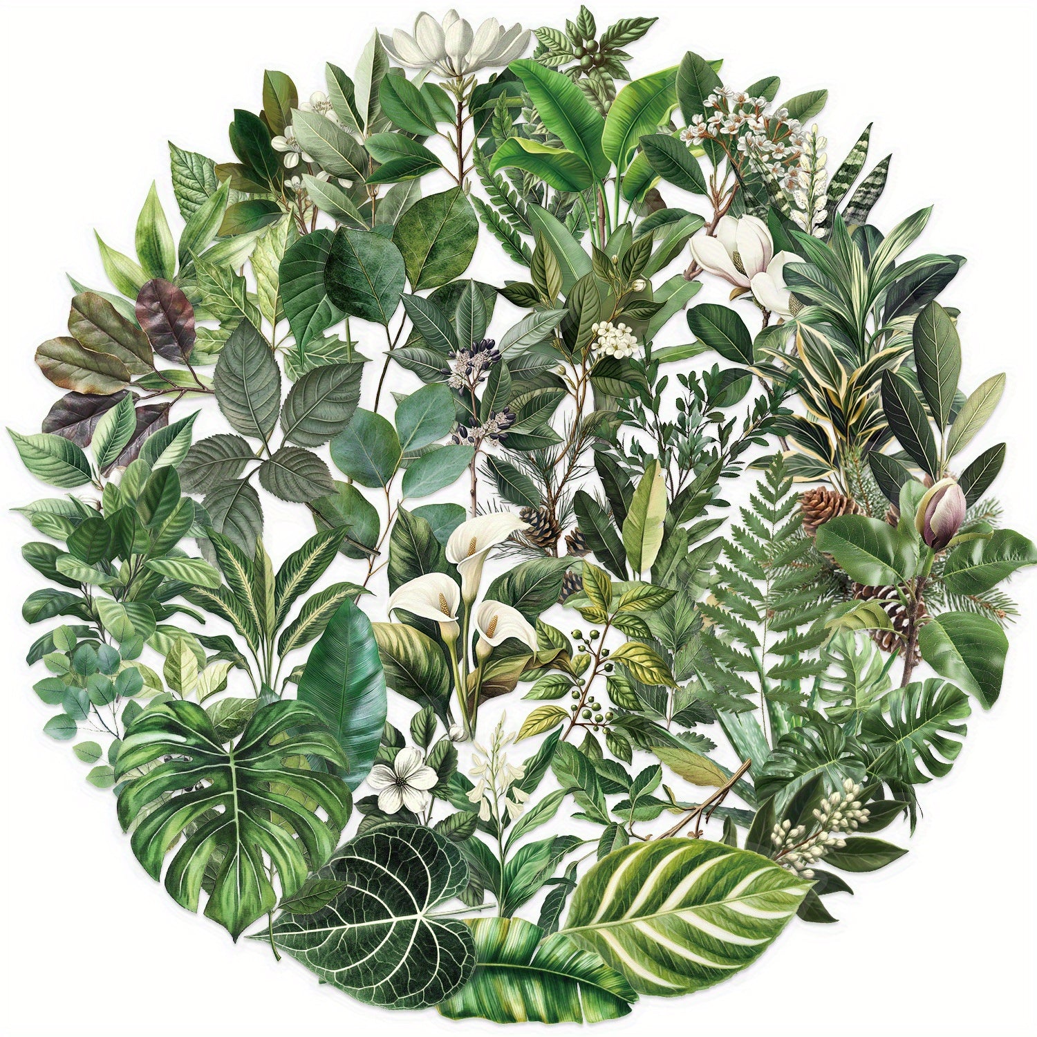50pcs Botanical Plant & Flower Waterproof Stickers for Water Bottles Laptops
