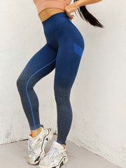 Gradient Seamless Sports Leggings Butt Lifting Yoga Pants