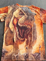 Dinosaur Graphic T Shirt for Kids Short Sleeves Slightly Stretchy