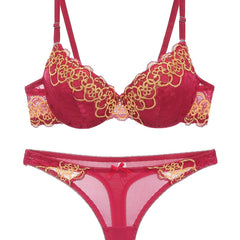 Embroidered Lace Push Up Bra & Panties Set