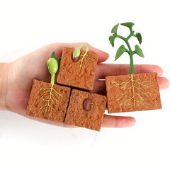 Farm Plant Life Cycle Figure Set Educational Toys Christmas Gift Learning