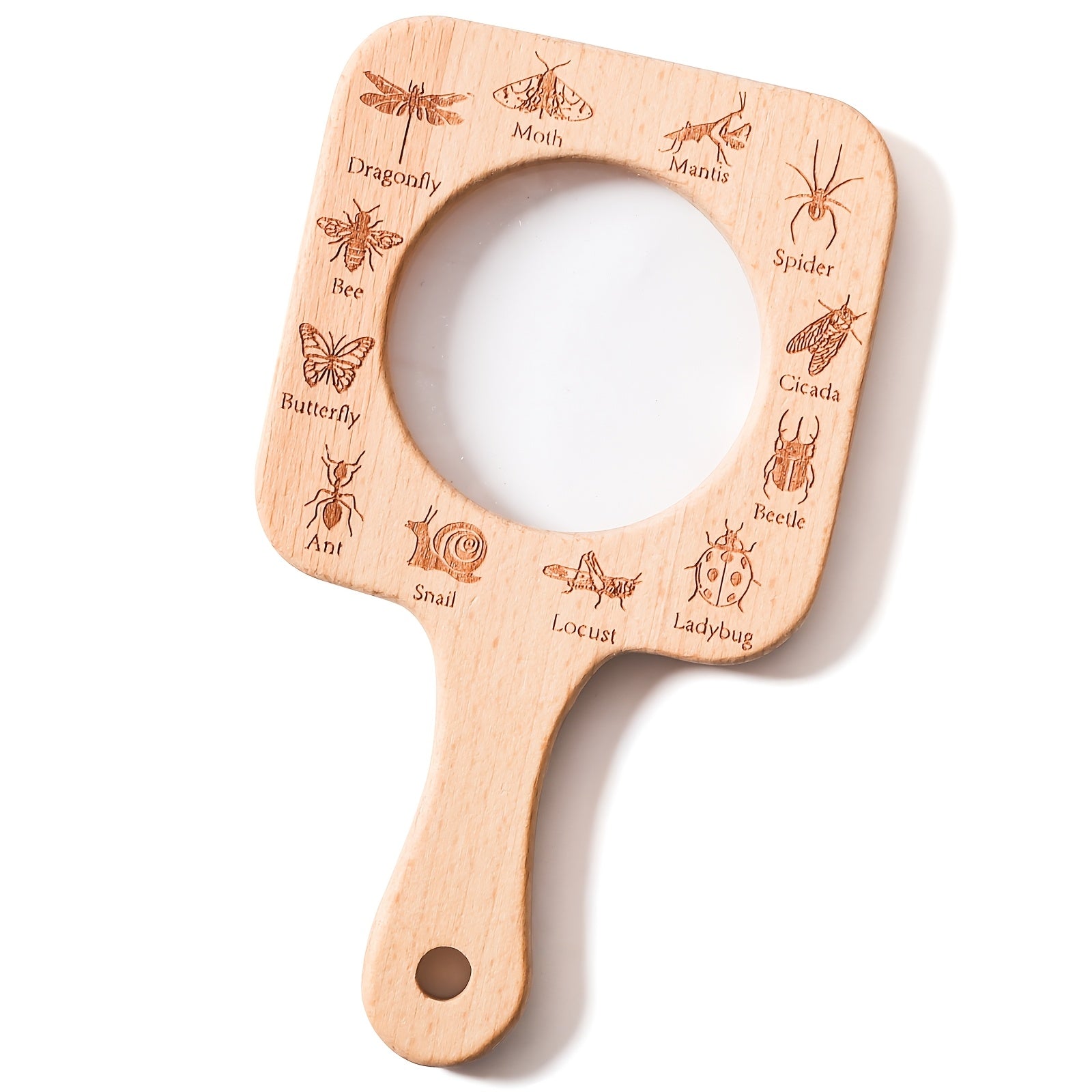 Outdoor Adventure Magnifying Toy for Insects & Leaves
