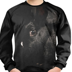 Rabbit 3D Print Boys Sweatshirt Long Sleeve Pullover Top