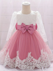 Baby Girls Floral Embroidery Long Sleeve Mesh Gown Princess Dress
